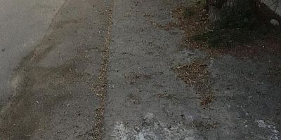 Gediz Elektrik’ten Alaçatı’daki Ev Sahiplerine Şok Eden Hizmet!