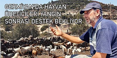 Germiyan’da Hayvan Üreticileri Yangın Sonrası Destek Bekliyor