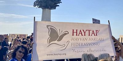 Hayvan Hakları Savunucuları İzmir Gündoğdu Meydanı’daydı