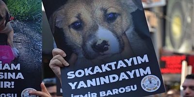 İzmir Barosu’ndan Katliam Yönetmeliği’nin İptali İçin Danıştaya Dava!