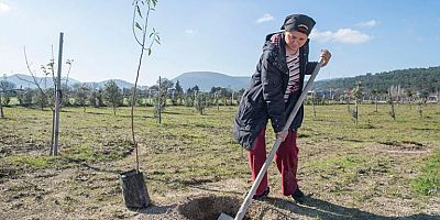 İzmir Büyükşehir Belediyesi'nden Çeşme Çiftçilerine Fidan Desteği