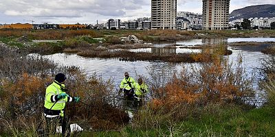 İzmir Büyükşehir Belediyesi’nden Sivrisinekle Kesintisiz Mücadele