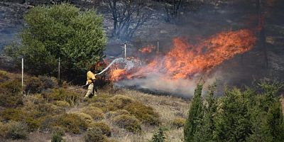 İzmir'de dün çıkan yangınlarda 25 hektar kül oldu!