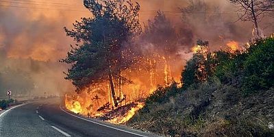 #İzmir #OrmanYasağı #YangınSezonu #ValiElban #OrmanYangını #Ağaçlandırma #YangınTedbiri #İzmirHaber #DoğayıKoru #OrmanGönüllüsü