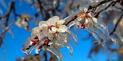 İzmir'e don uyarısı!