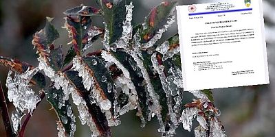 İzmir'e zirai don uyarısı!