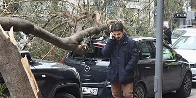 İzmir fırtınaya teslim!