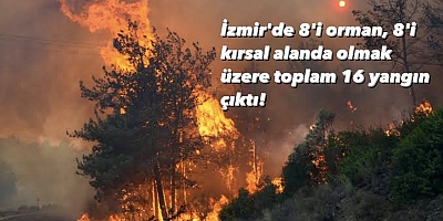 İzmir’in Ciğerleri Yandı…