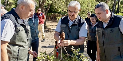 İzmir Orman Bölge Müdürlüğü Çeşme ve Urla Sakız Sahalarında İncelemelerde Bulundu