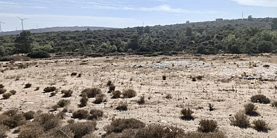 İzmirli Tekstil Devinden Çeşme’de  GES hamlesi!