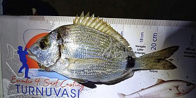  Kıyı balıkçılığın usta isimleri belli oldu