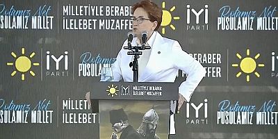 Meral Akşener: Asıl sorunun kendi saflarımızda olduğunu göremedim