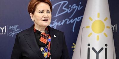 Meral Akşener taburcu oldu