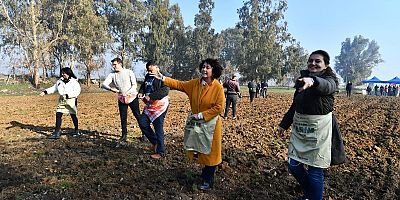 Seferihisar’da başlayan ata tohumu karakılçık buğdayının hikayesi Yaşar Üniversitesi’nde devam ediyor 