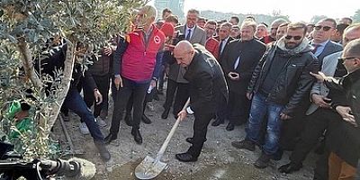 Soyer, Buca Cezaevi’ne zeytini dikti, “Sarı öküzü vermeyiz!” dedi