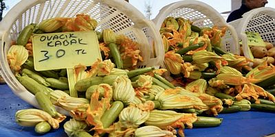 Tarla’dan Sofra’ya Üretici Pazarı açıldı