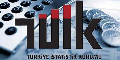 TÜİK'in Sır Gibi Sakladığı Enflasyon Sepetinin Şaşırtıcı Detayları