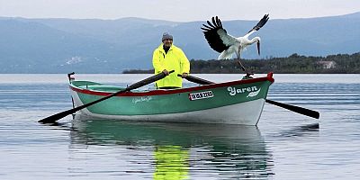 Yaren Leylek 15. Kez Geri Geldi!