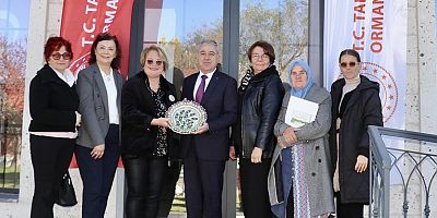 Zeytin Kokan Şehrin Kadınları Projesi tamamlandı